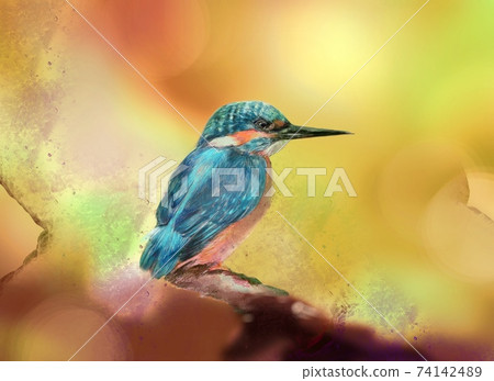 Beautiful kingfisher and forest background with blue jewel-like wings Beautiful kingfisher and forest background with blue jewel-like wings 74142489