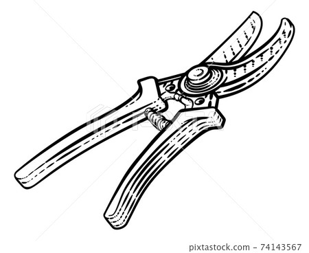 Secateurs Garden Pruner Gardening Tool Woodcut Secateurs Garden Pruner Gardening Tool Woodcut 74143567