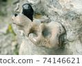 Silicon outcrops in rock, Belokuzminovka 74146621