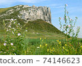 Famous chalk rocks in Belokuzminovka 74146623