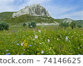 Chalk rocks and blossom meadow 74146625