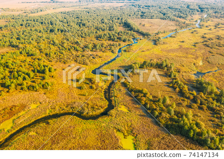Aerial View Green Forest Woods And River Landscape In Sunny Summer Day. Top View Of Beautiful European Nature From High Attitude In Summer Season. Drone View. Bird's Eye View 74147134