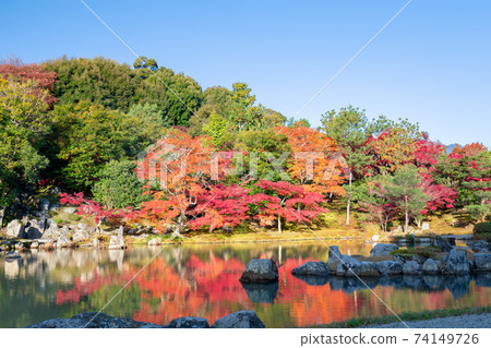 Tenryu Temple in the fall Tenryu Temple in the fall 74149726