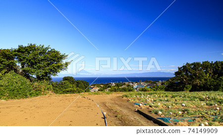 Mt. Fuji seen from a field in Miura City, Kanagawa Prefecture, on the Shonan Miura Peninsula 74149909