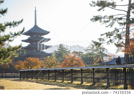 興福寺五層塔 興福寺五層塔 74150356