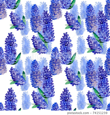 Lilac flowers bunch white art design background. Beautiful violet Lilac flower closeup. Watercolor nature floral background Lilac flowers bunch white art design background. Beautiful violet Lilac flower closeup. Watercolor nature floral background 74151239
