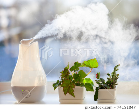 Humidifier at the window 74151847