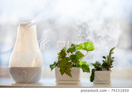 Humidifier at the window 74151850
