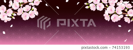 Cherry blossom background material, night cherry blossoms, Japanese pattern 74153193
