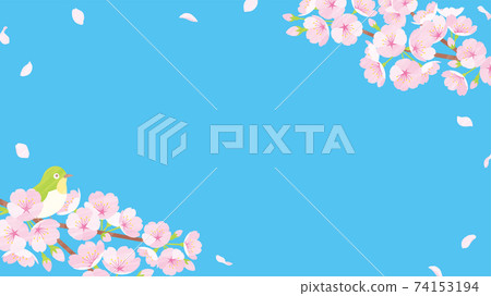 Cherry blossom background material blue Cherry blossom background material blue 74153194