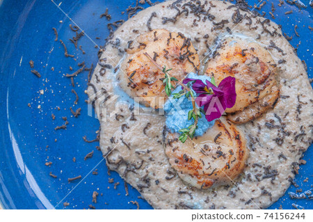 Seared scallop appetizer in dish 74156244