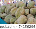 Group of fresh durians in the durian market. 74156296