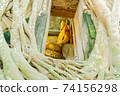 Buddha Statue and Tree Roots 74156298