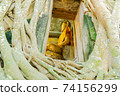 Buddha Statue and Tree Roots 74156299