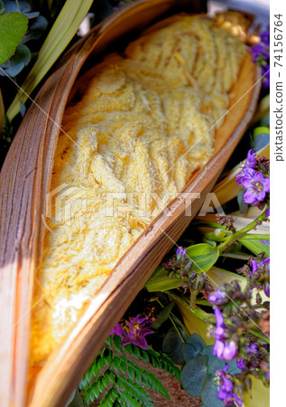 Tropical palm fruits - closeup 74156764