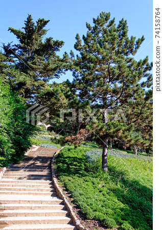 Park Guell designed by Gaudi - Barcelona 74158764