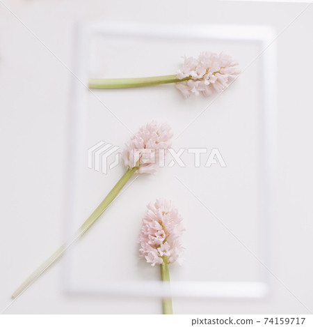 mockup with pink flowers and blank photo frame with copy space. mockup with pink flowers and blank photo frame with copy space. 74159717