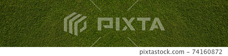 wide background of green grass wide background of green grass 74160872