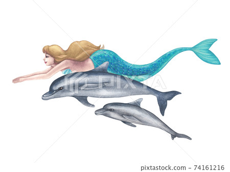 Watercolor mermaid with blue tail swimming with the dolphins Watercolor mermaid with blue tail swimming with the dolphins 74161216