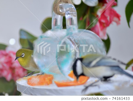 大奶和白眼來到飼養台 74161433