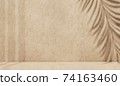 Minimal abstract concrete texture background for cosmetic product presentation. Premium podium with tropical palm leaf shadow on beige natural stone wall. Realistic 3d rendering 74163460