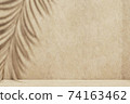 Minimal abstract concrete texture background for cosmetic product presentation. Premium podium with tropical palm leaf shadow on beige natural stone wall. Realistic 3d rendering 74163462