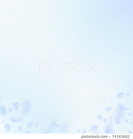 Light blue flower petals falling down. Sightly rom Light blue flower petals falling down. Sightly rom 74163602