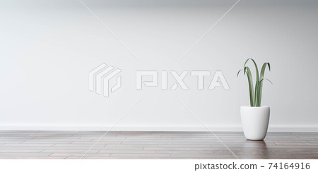 white modern room wall with plant and dark wooden floor 3d rendering illustration 74164916