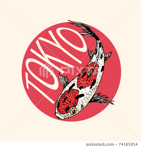 Koi carp and red sun, Japanese fish badge. Korean animal logo. Engraved hand drawn line art Vintage Koi carp and red sun, Japanese fish badge. Korean animal logo. Engraved hand drawn line art Vintage 74165854