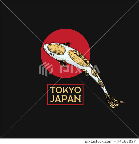 Koi carp and red sun, Japanese fish badge. Korean animal logo. Engraved hand drawn line art Vintage Koi carp and red sun, Japanese fish badge. Korean animal logo. Engraved hand drawn line art Vintage 74165857