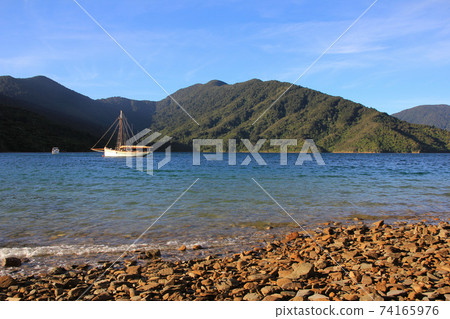Summer scene in the Queen Charlotte Sound, New Zealand. Summer scene in the Queen Charlotte Sound, New Zealand. 74165976