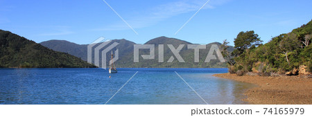 Sailing boat arriving in a small bay of the Queen Charlotte Sound. 74165979