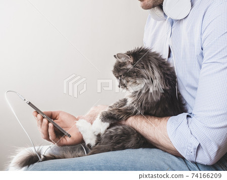 Cute, fluffy kitten and a man with a phone Cute, fluffy kitten and a man with a phone 74166209