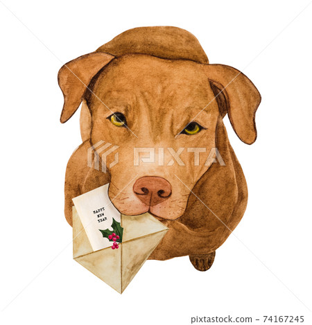 Lovable, pretty puppy of chocolate color. Beautiful drawing Lovable, pretty puppy of chocolate color. Beautiful drawing 74167245