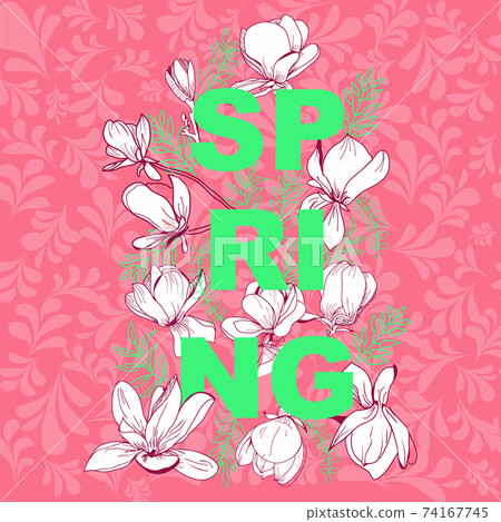 Spring template graphic design with floral elements magnolia flowers. 74167745