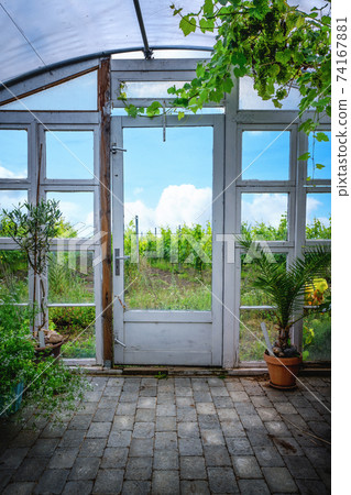 Wooden door to a vindeyard landscape Wooden door to a vindeyard landscape 74167881