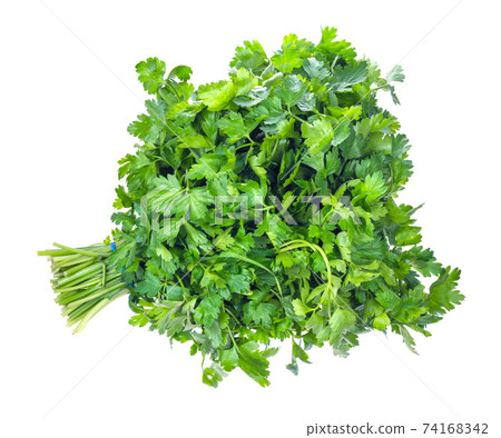 bundle of fresh wet green parsley herb cutout bundle of fresh wet green parsley herb cutout 74168342