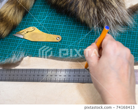 furrier draws pattern on pelt with pen and ruler 74168413