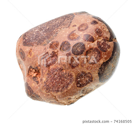 tumbled bauxite ( aluminium ore) stone cutout tumbled bauxite ( aluminium ore) stone cutout 74168505