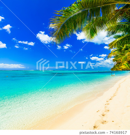 perfect tropical white sandy beach 74168917