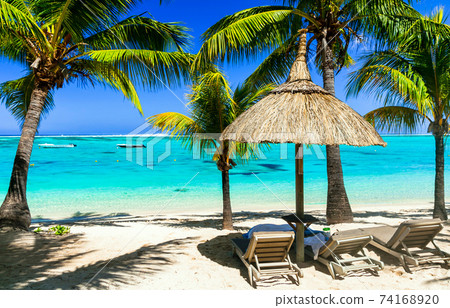 perfect tropical white sandy beach 74168920