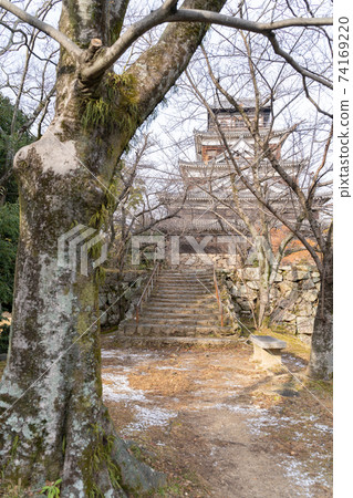 [Hiroshima Prefecture] Hiroshima Castle 74169220