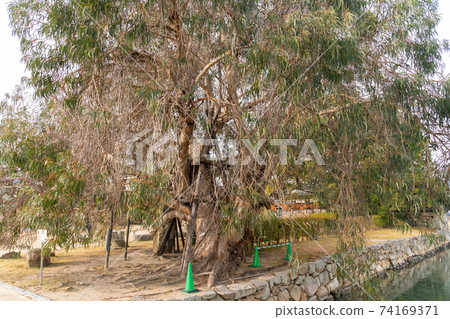 [Hiroshima Prefecture] Hiroshima Castle 74169371