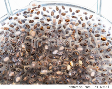 chia seeds made gelatinous texture close-up 74169651