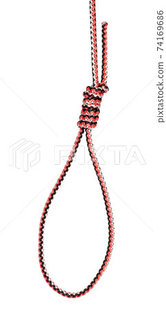 Hangman's loop tied on synthetic rope cut out 74169686