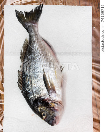 top view of raw gilt-head bream on paper on table 74169715