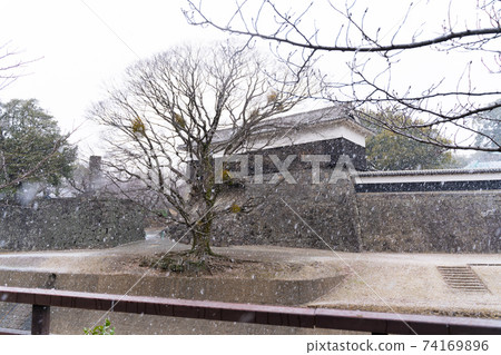 [熊本縣]熊本城 74169896