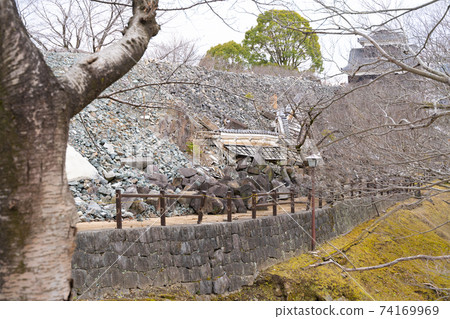 [熊本縣]熊本城 74169969