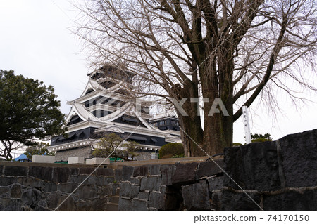 [Kumamoto Prefecture] Kumamoto Castle 74170150