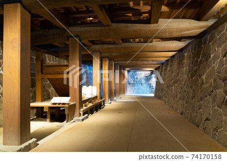 [熊本縣]熊本城 74170158